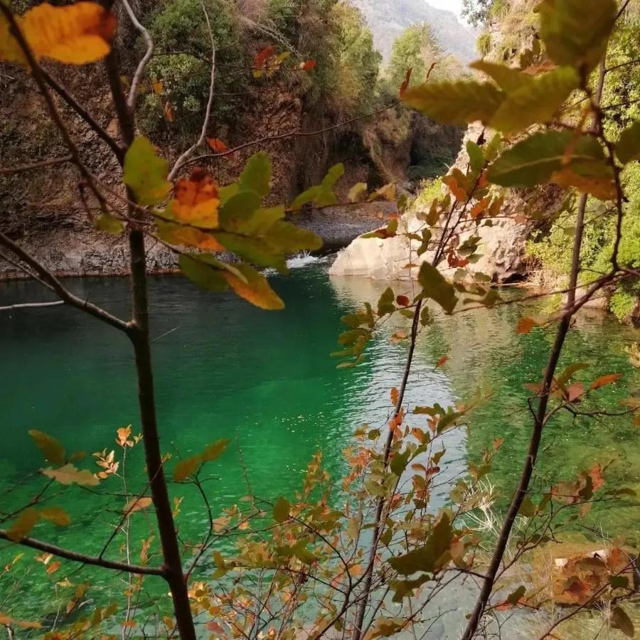 Refugio Del Salto -Radal 7 Tazas Villa Molina  Bagian luar foto