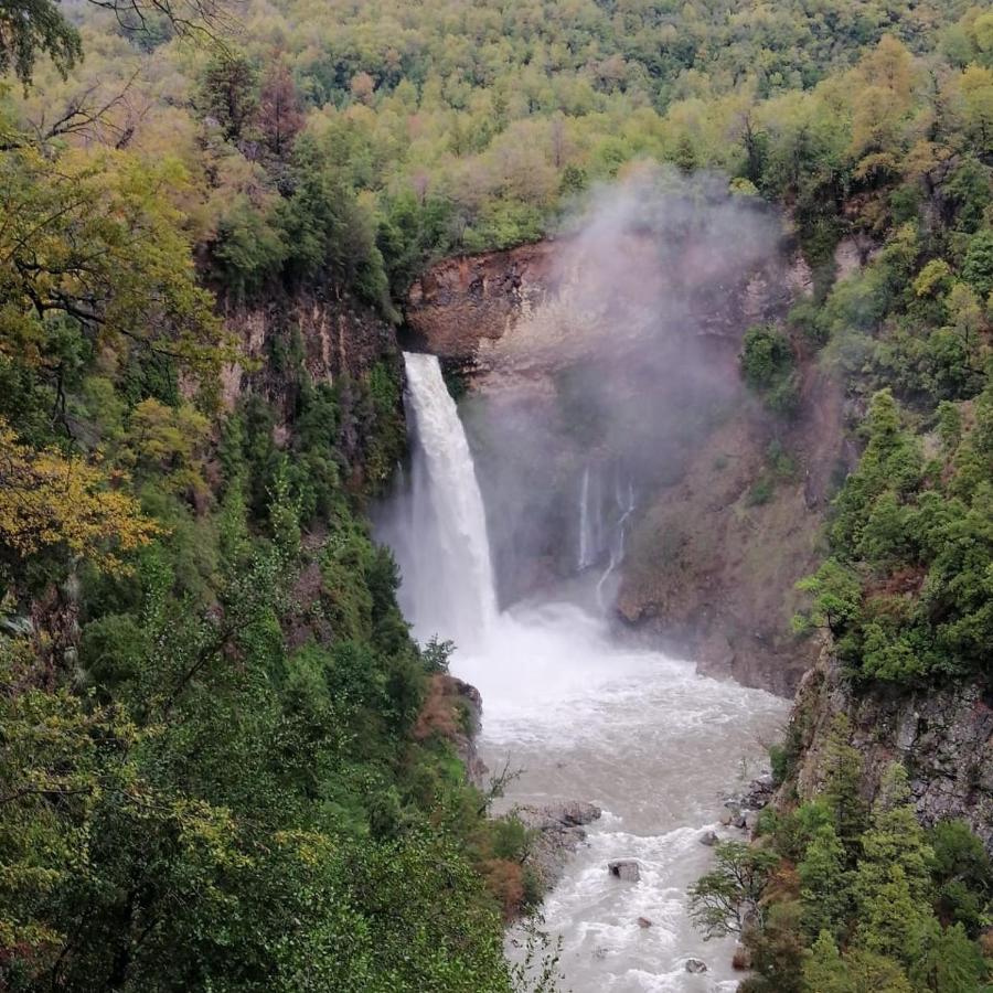 Refugio Del Salto -Radal 7 Tazas Villa Molina  Bagian luar foto