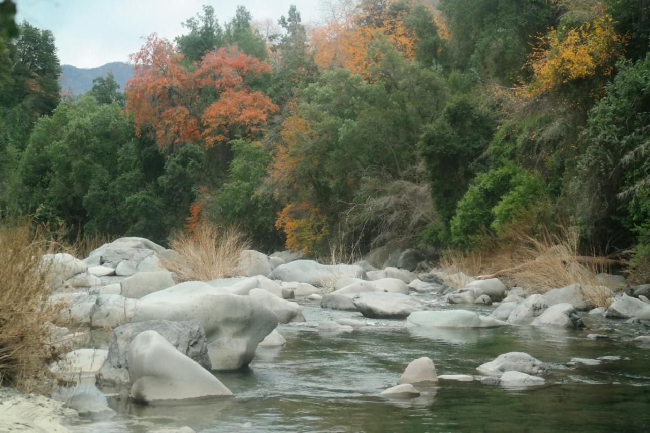 Refugio Del Salto -Radal 7 Tazas Villa Molina  Bagian luar foto