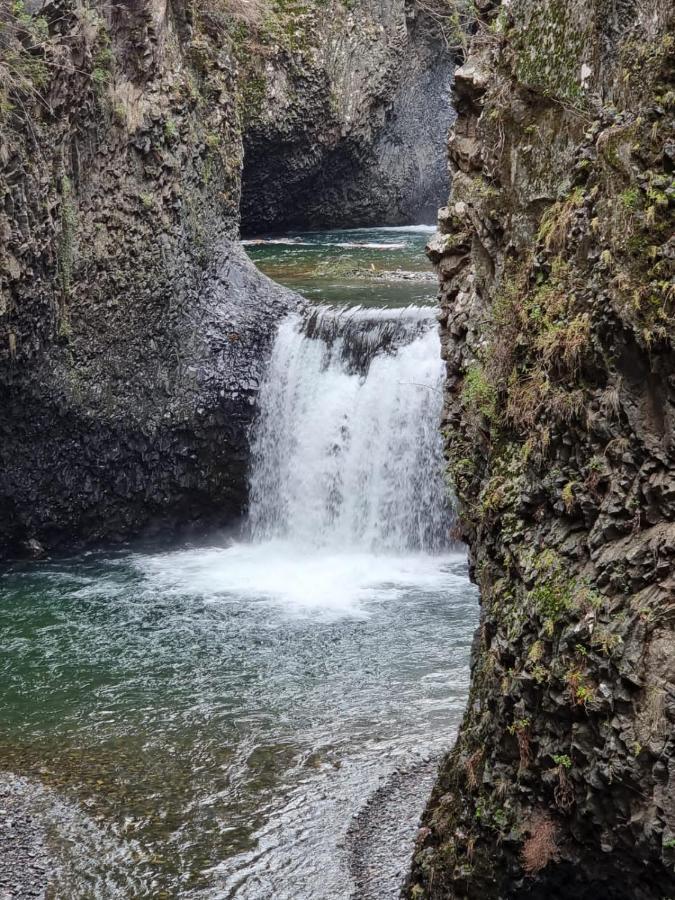 Refugio Del Salto -Radal 7 Tazas Villa Molina  Bagian luar foto
